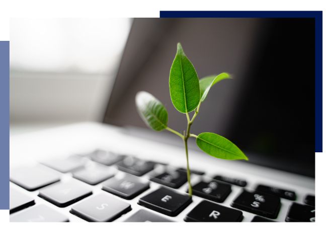 A small tree growing through the keyboard of a laptop to represent a companies environmental commitment.